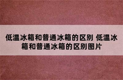 低温冰箱和普通冰箱的区别 低温冰箱和普通冰箱的区别图片